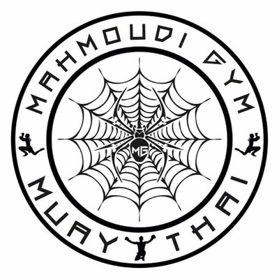 Logo Mahmoudi Gym : une toile d'araignée dans un cercle